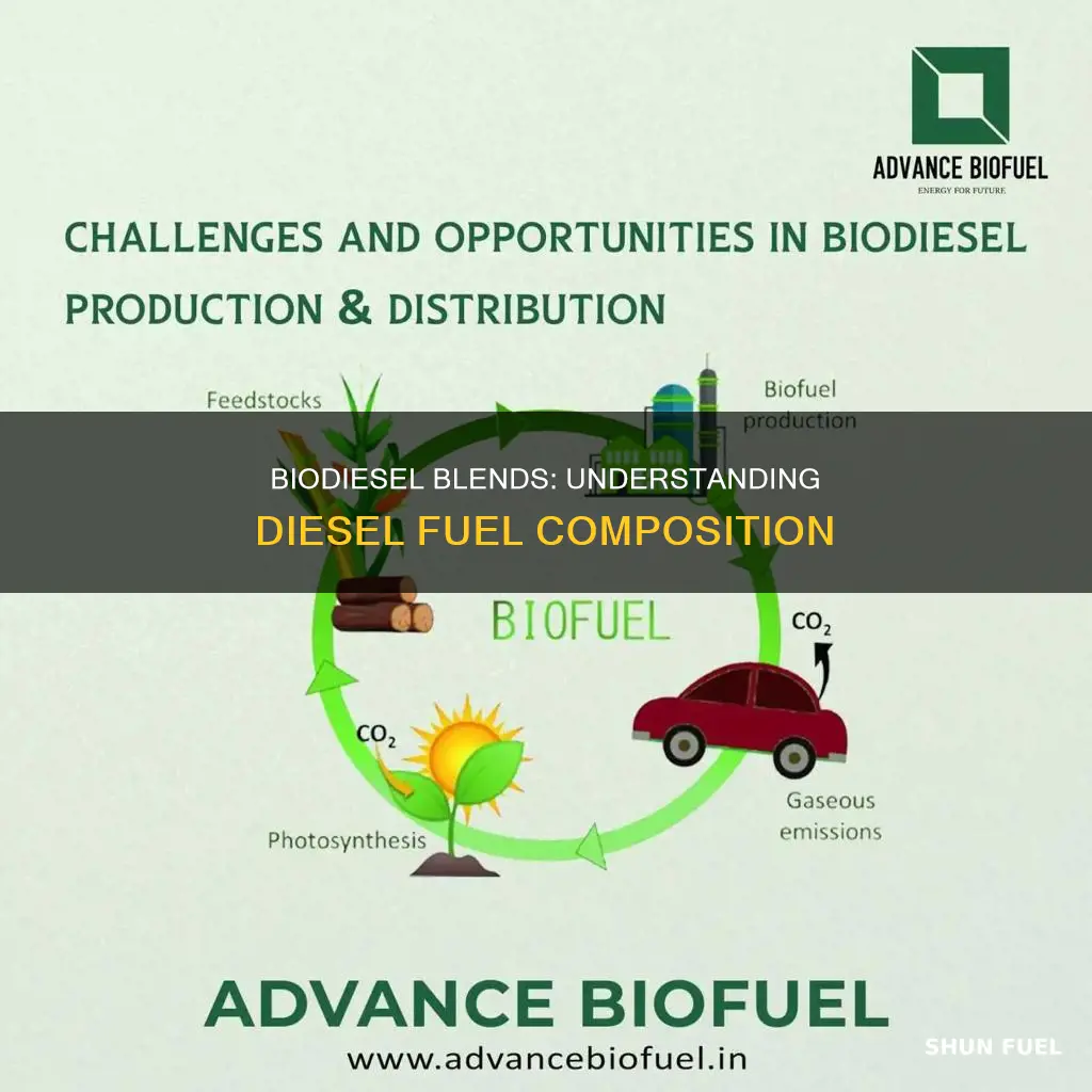 how much biodiesel is in diesel fuel