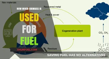 Biomass Energy: How Much Is Used for Fuel?