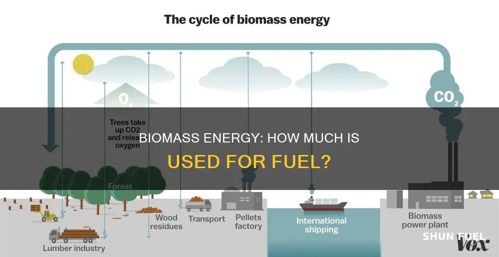 how much biomass is used for fuel