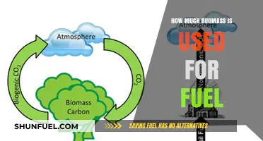 Biomass Energy: How Much Fuel is Derived from Biomass?