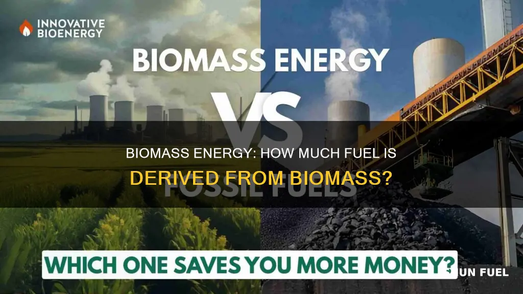 how much buomass is used for fuel