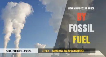 The Carbon Cost of Fossil Fuels