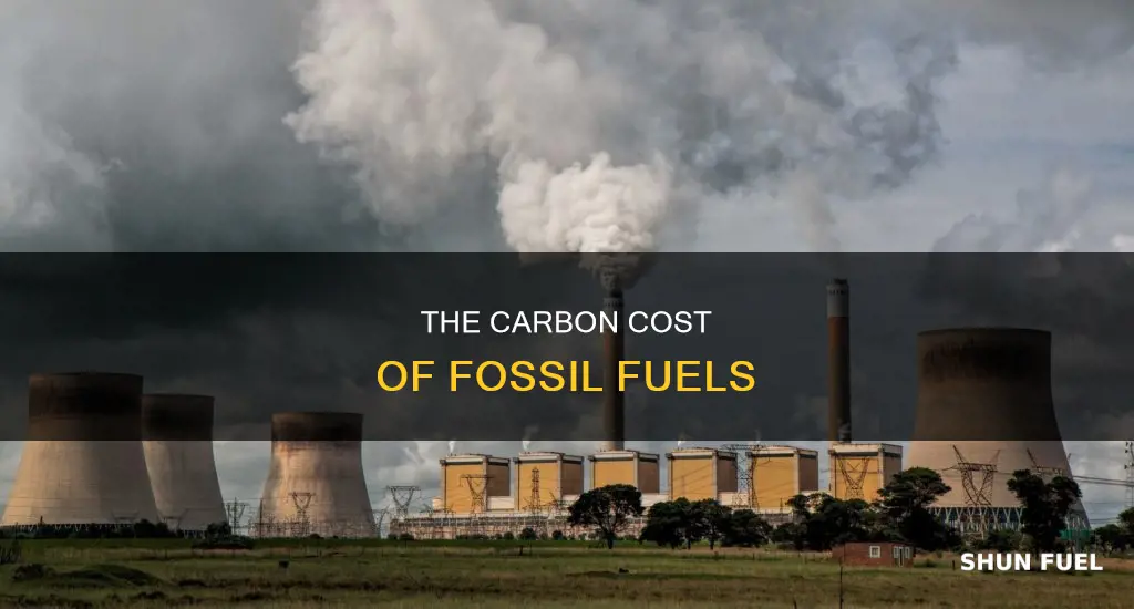 how much c02 is pruce by fossil fuel