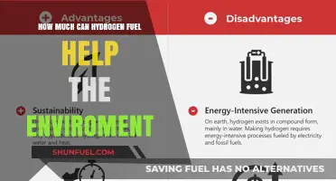 Hydrogen Fuel: A Green Energy Revolution?