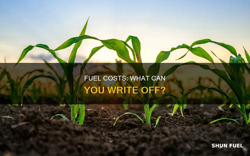 how much can you erite off fot fuel cists