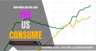 US Car Fuel Consumption: How Much and What's Next?