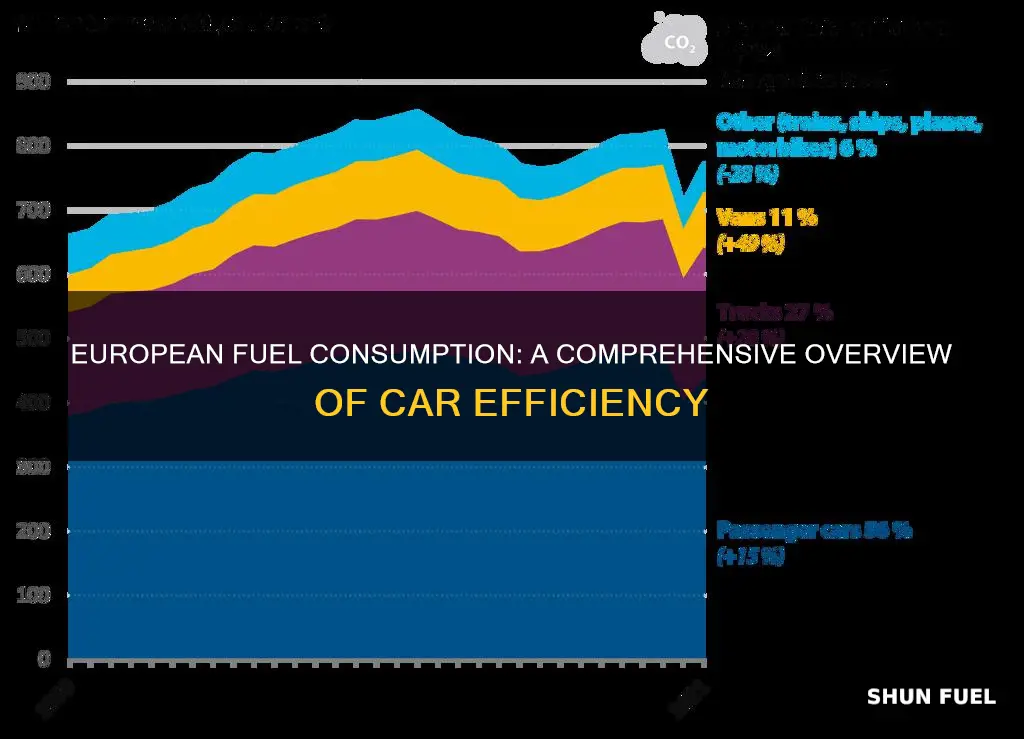 how much car fuel is consumed in europe