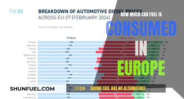 Europe's Car Fuel Consumption: Trends and Insights