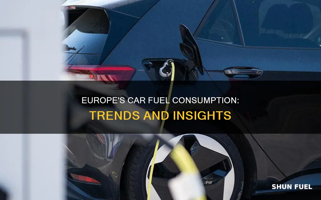 how much car fuel is consumed in europe
