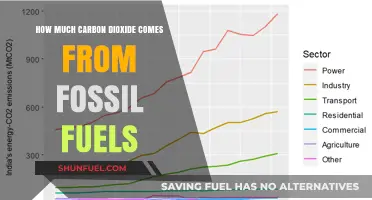 Fossil Fuels: CO2 Emissions and Their Impact