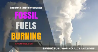 The Impact of Fossil Fuels: CO2 Emissions