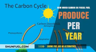 Carbon Emissions: Fossil Fuels' Annual Carbon Output