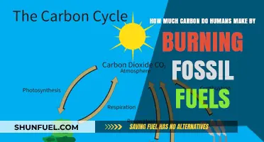 Human Carbon Emissions: Burning Fossil Fuels' Impact