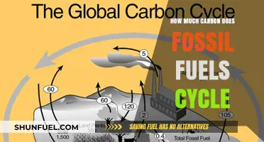 Fossil Fuels: Carbon Cycle's Dark Side