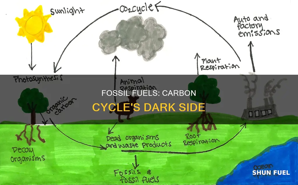 how much carbon does fossil fuels cycle