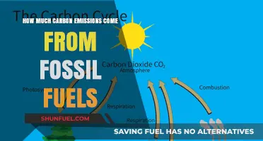 Fossil Fuels: Major Carbon Emitters?