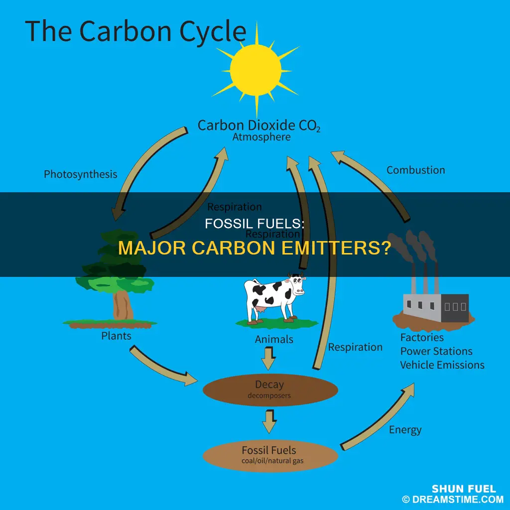 how much carbon emissions come from fossil fuels