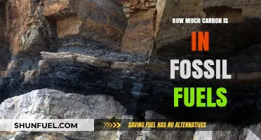 Carbon in Fossil Fuels: What's the Count?