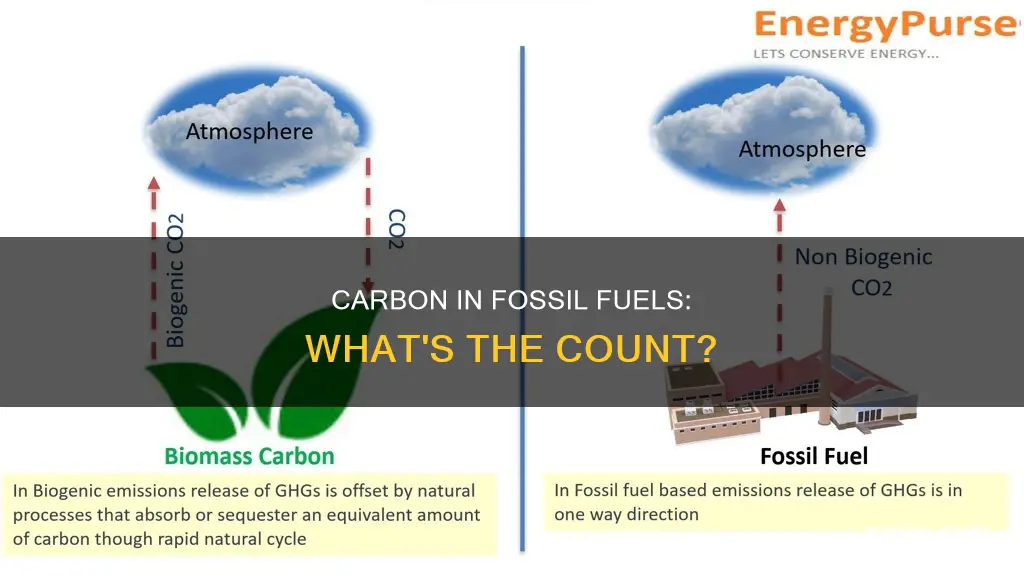how much carbon is in fossil fuels