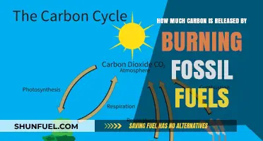 Fossil Fuels: Carbon Emissions and Our Future