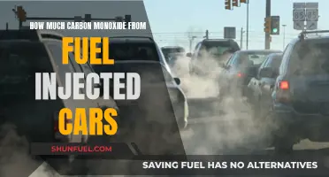 Fuel-Injected Cars and Carbon Monoxide: How Much is Too Much?