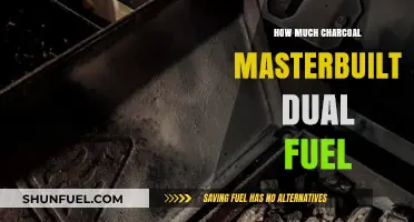 Mastering Charcoal Use in Your Masterbuilt Dual Fuel Smoker
