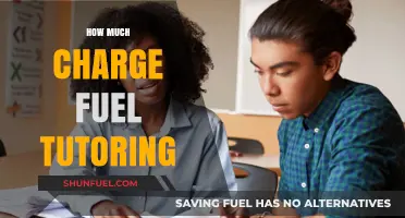 Charging for Tutoring: What's a Fair Price?