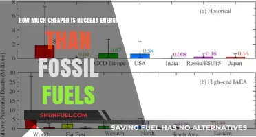 Nuclear Energy: Cheaper Than Fossil Fuels?