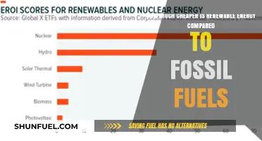 Renewable Energy: Cheaper Than Fossil Fuels?