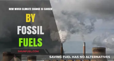 Fossil Fuels' Impact on Climate Change: Understanding the Connection