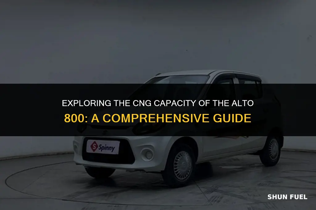 how much cng can be filled in alto 800