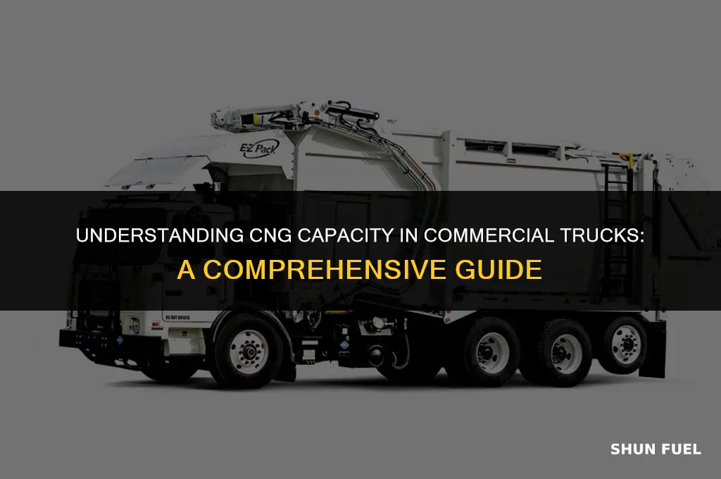 how much cng does a typical truck carry