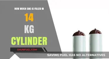 Understanding CNG Capacity: A Guide to 14 kg Cylinders