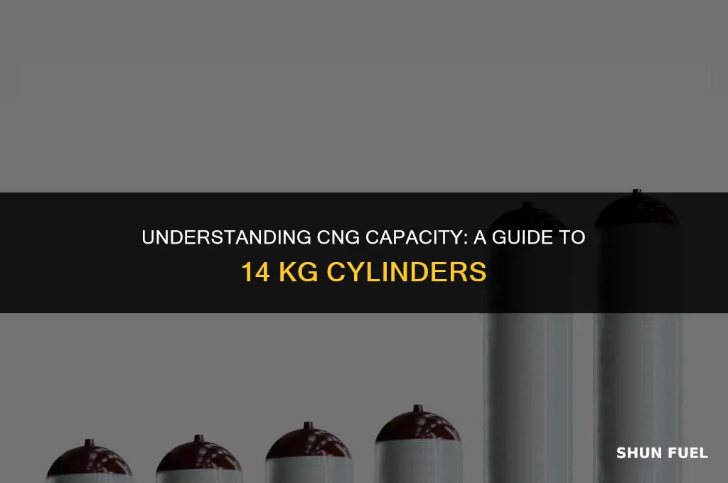 how much cng is filled in 14 kg cylinder