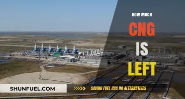 Assessing the Remaining CNG Reserves: A Comprehensive Overview
