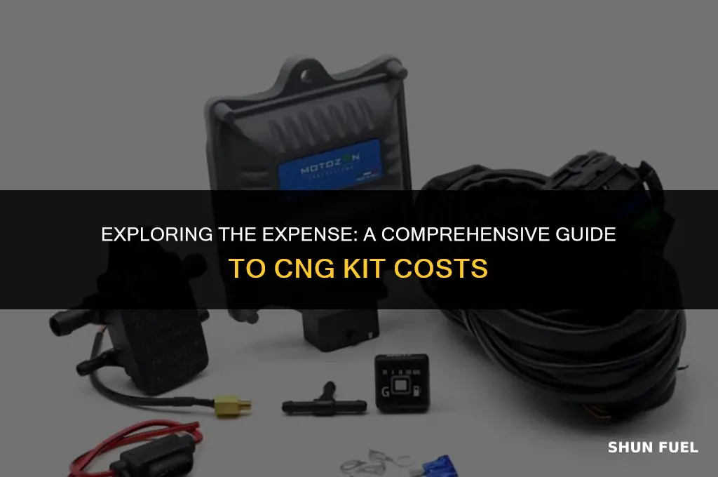 how much cng kit cost
