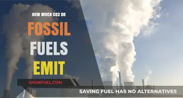 Fossil Fuels' CO2 Emissions: A Troubling Truth