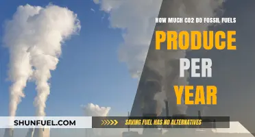 The Carbon Cost of Fossil Fuels