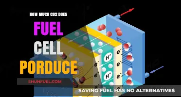 Fuel Cells: Carbon Dioxide Emissions and Energy