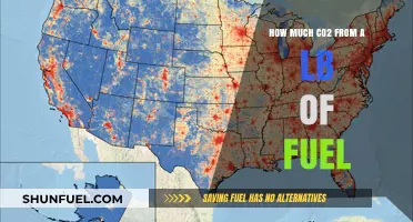 Burning Fuel: CO2 Emissions and Their Impact