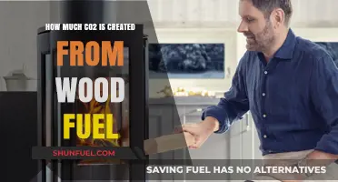 Wood Fuel: Carbon Footprint and Environmental Impact