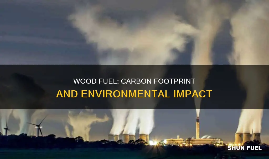 how much co2 is created from wood fuel