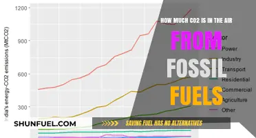 Air Pollution: Fossil Fuels and CO2 Emissions