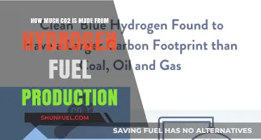 Hydrogen Fuel's CO2 Emissions: A Clear Picture