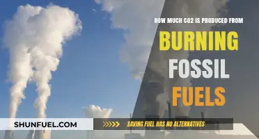 The Impact of Fossil Fuels: CO2 Emissions