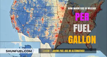 Fuel Gallon CO2 Emissions: How Much is Too Much?
