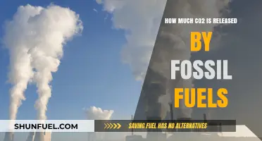 Fossil Fuels: CO2 Emissions and Our Future