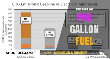 The Carbon Cost of Fuel: CO2 per Gallon