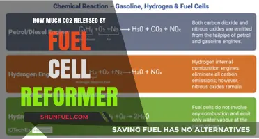 Fuel Cell Reformers: How Much CO2 is Released?