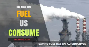 Coal Consumption in the US: How Much?